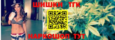 шишки Можга