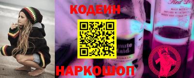 шишки Можга