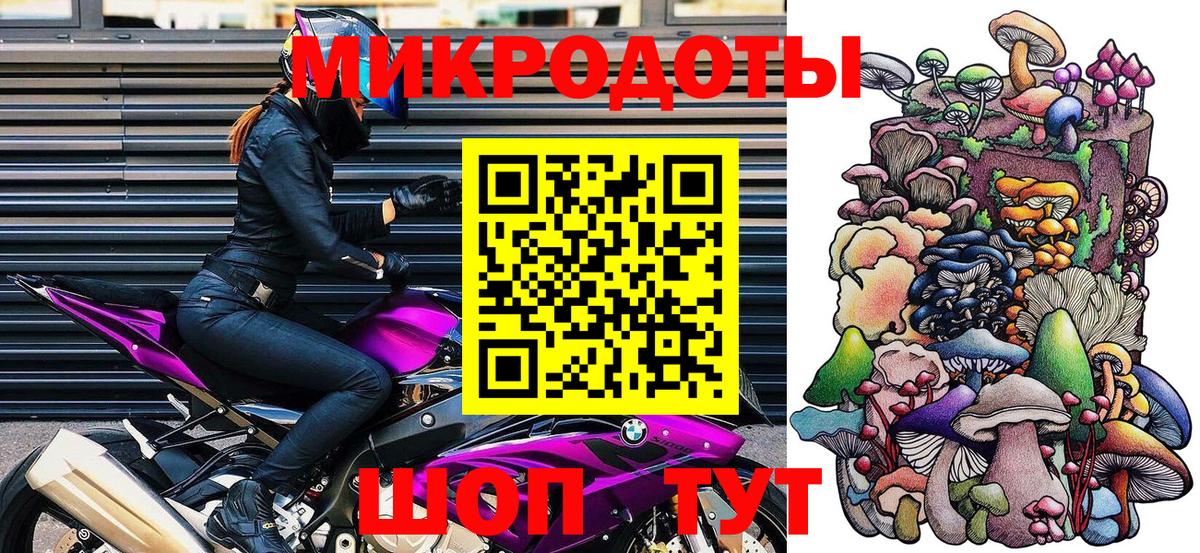 Псилоцибиновые грибы Psilocybe Троицк