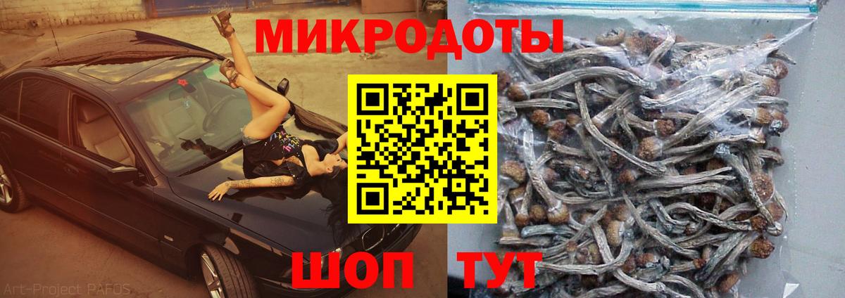 Галлюциногенные грибы Psilocybine cubensis  Вход с VPN  Троицк 